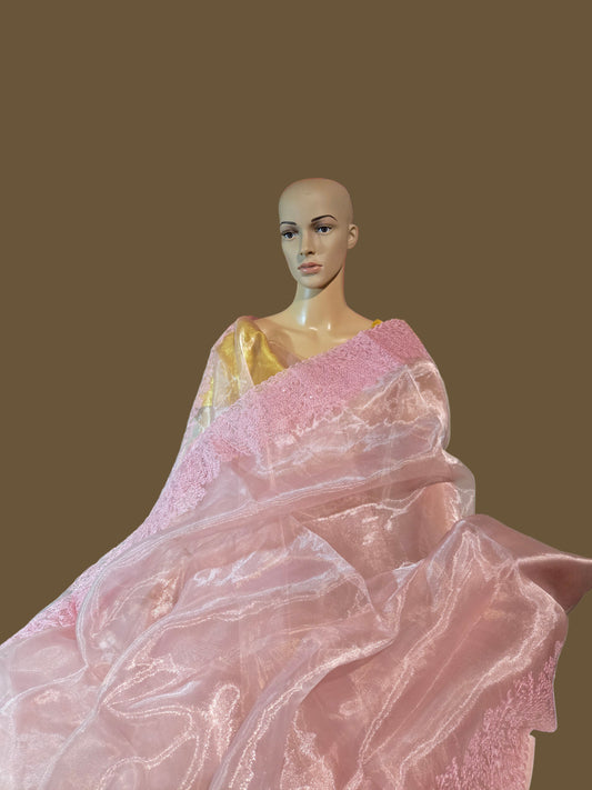 Exclusive Embroidered Pure Organza Saree buy from USA with Threadwork Border & Matching Blouse – Lightweight & Elegant