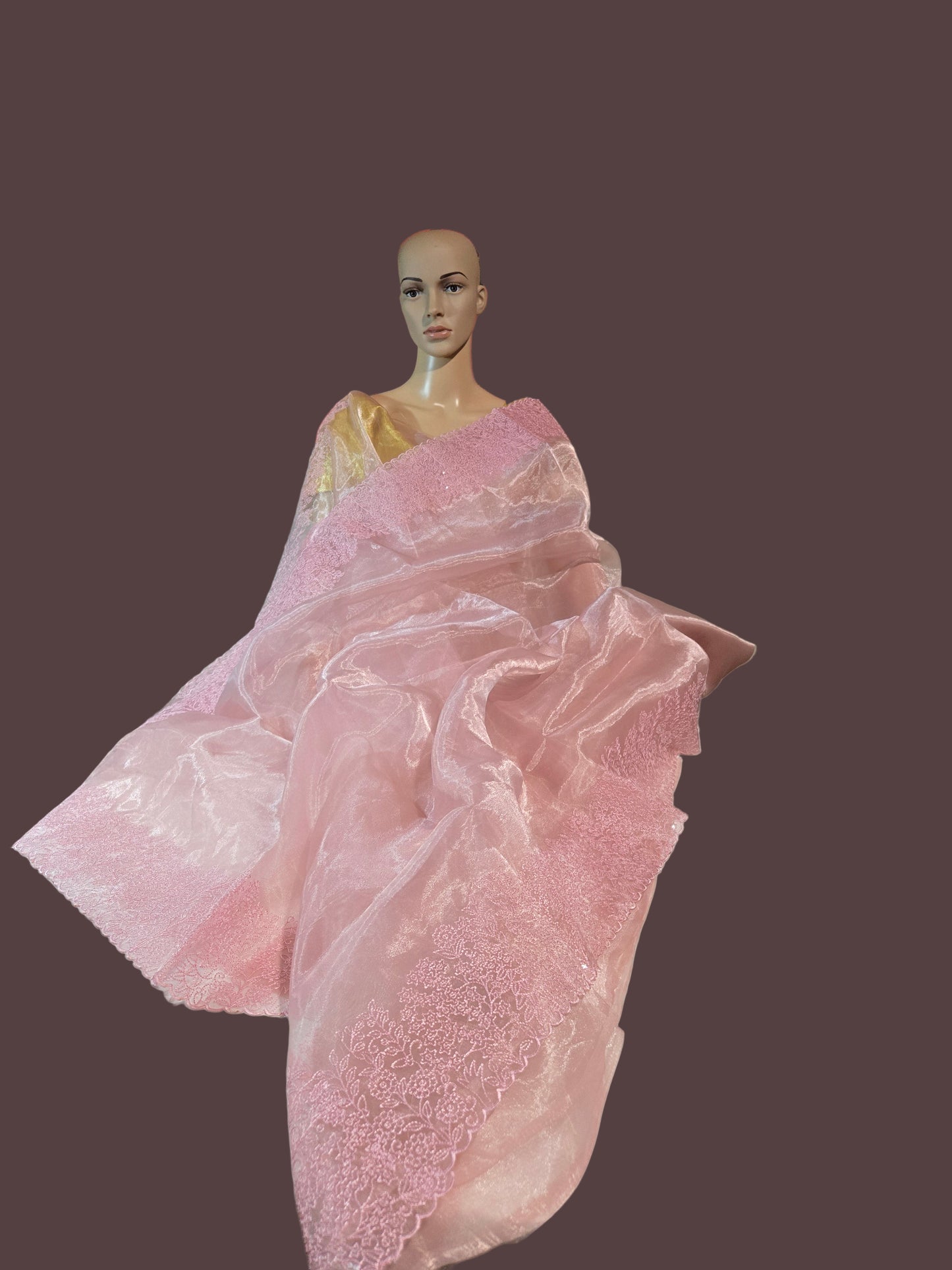 Exclusive Embroidered Pure Organza Saree buy from USA with Threadwork Border & Matching Blouse – Lightweight & Elegant