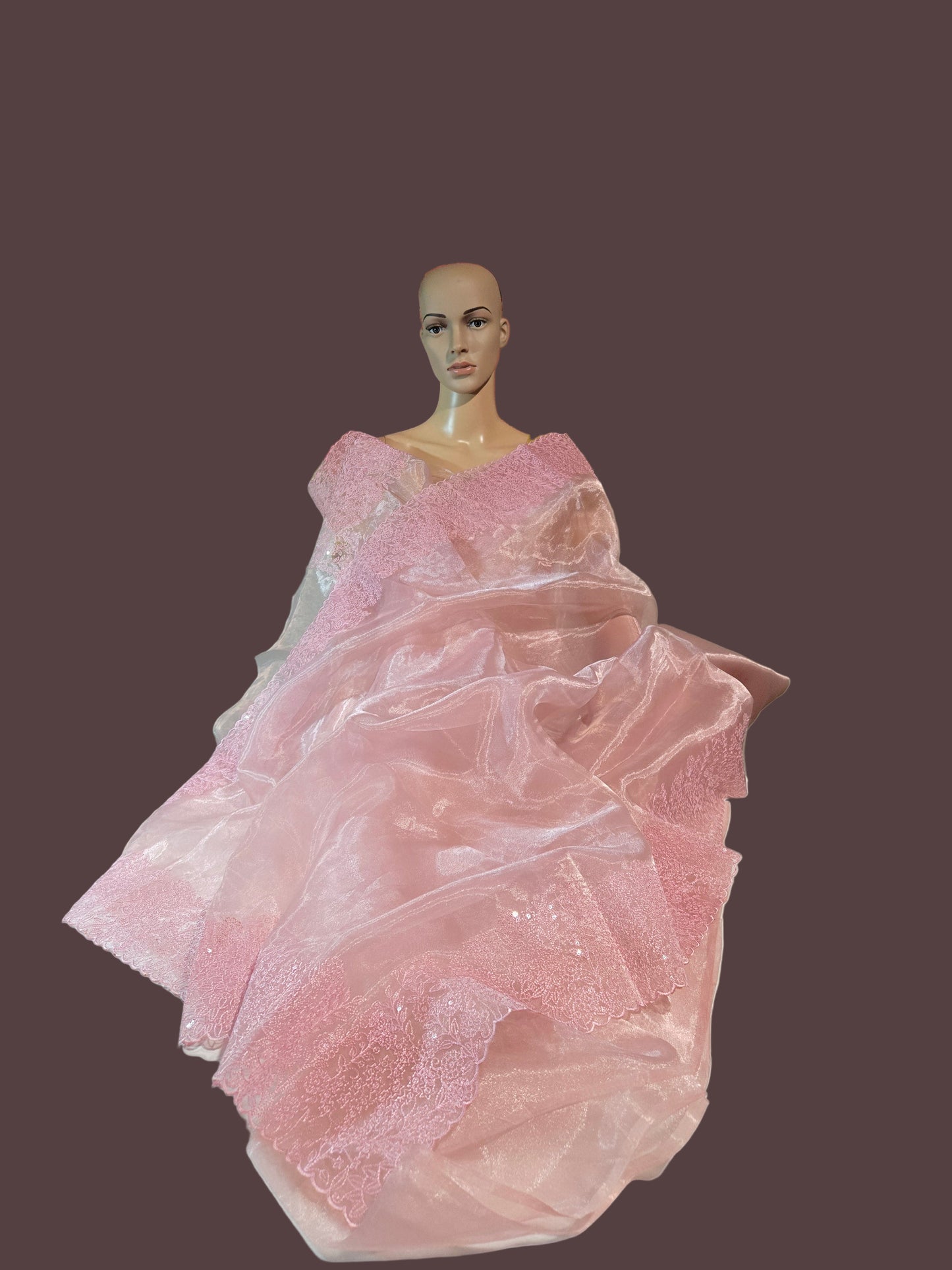 Exclusive Embroidered Pure Organza Saree buy from USA with Threadwork Border & Matching Blouse – Lightweight & Elegant