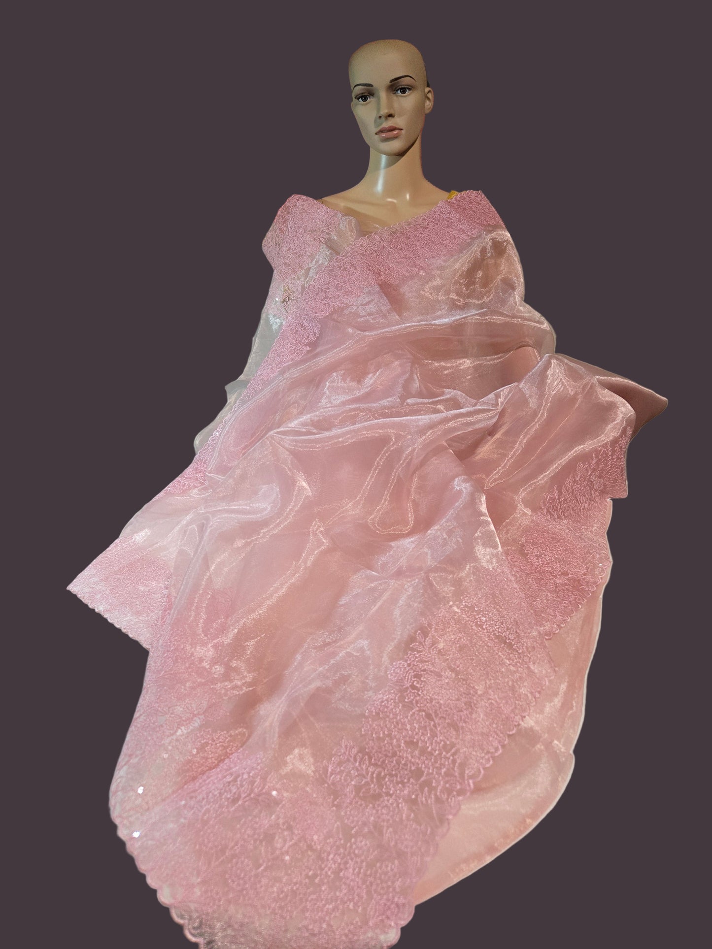 Exclusive Embroidered Pure Organza Saree buy from USA with Threadwork Border & Matching Blouse – Lightweight & Elegant
