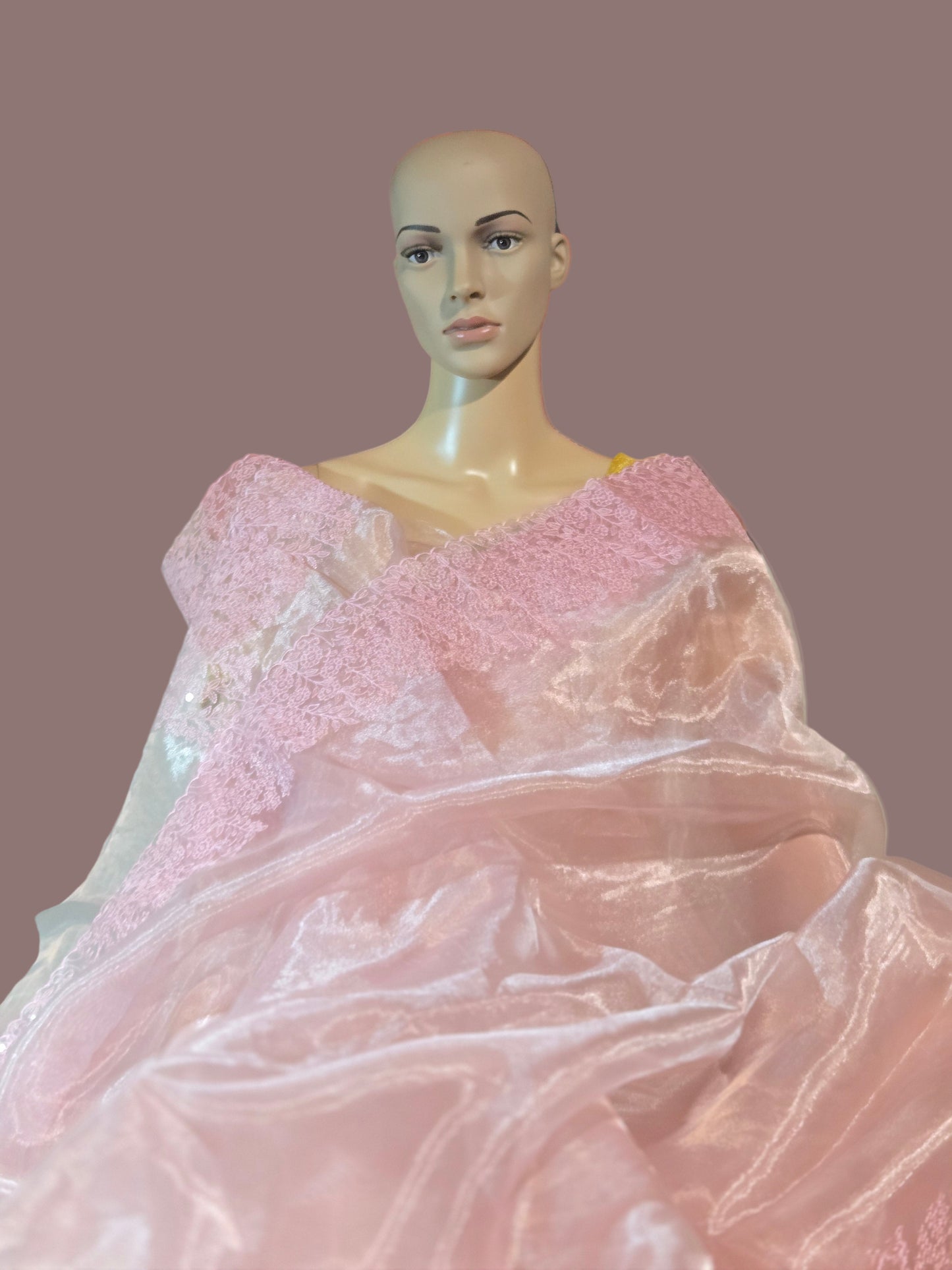 Exclusive Embroidered Pure Organza Saree buy from USA with Threadwork Border & Matching Blouse – Lightweight & Elegant