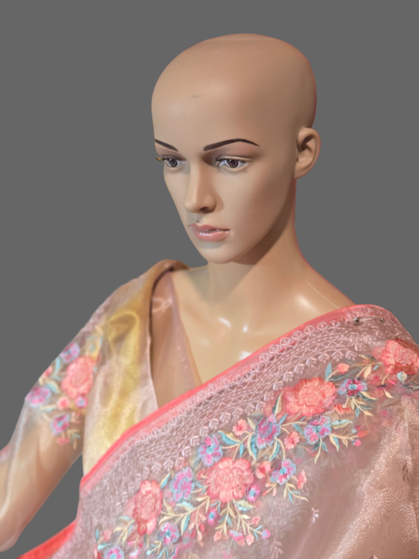 Exclusive Embroidered Pure Glass Organza Saree buy from USA with Threadwork Border & Matching Blouse – Lightweight & Elegant