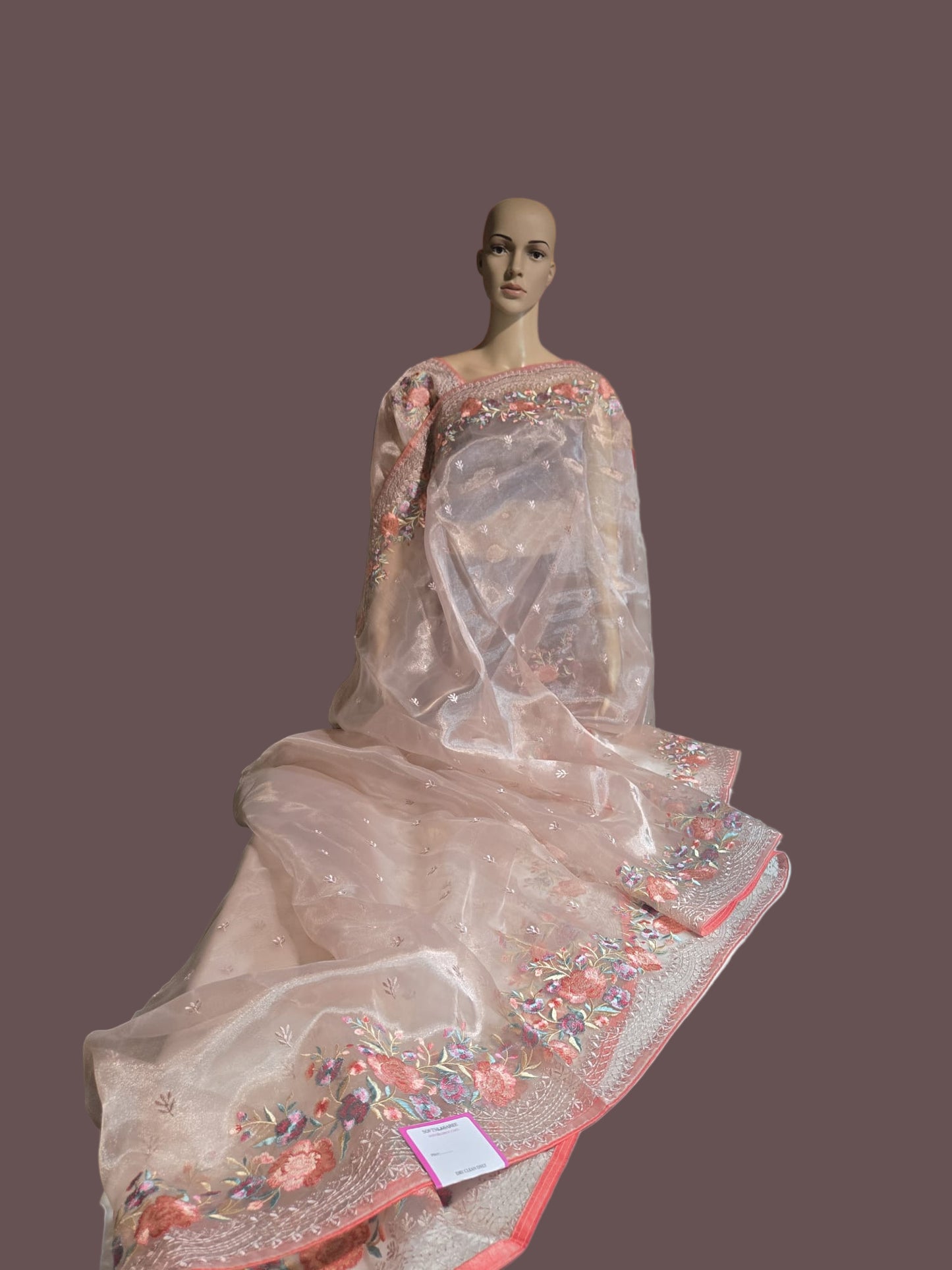 Exclusive Embroidered Pure Organza Saree buy from USA with Threadwork Border & Matching Blouse – Lightweight & Elegant