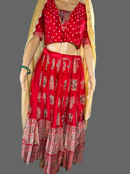 Pure Gajji Silk Ajrakh Lehenga Set | Hand Block Print Mirror Work Lehenga Choli | Traditional Indian Wedding & Festive Wear | Ships from USA