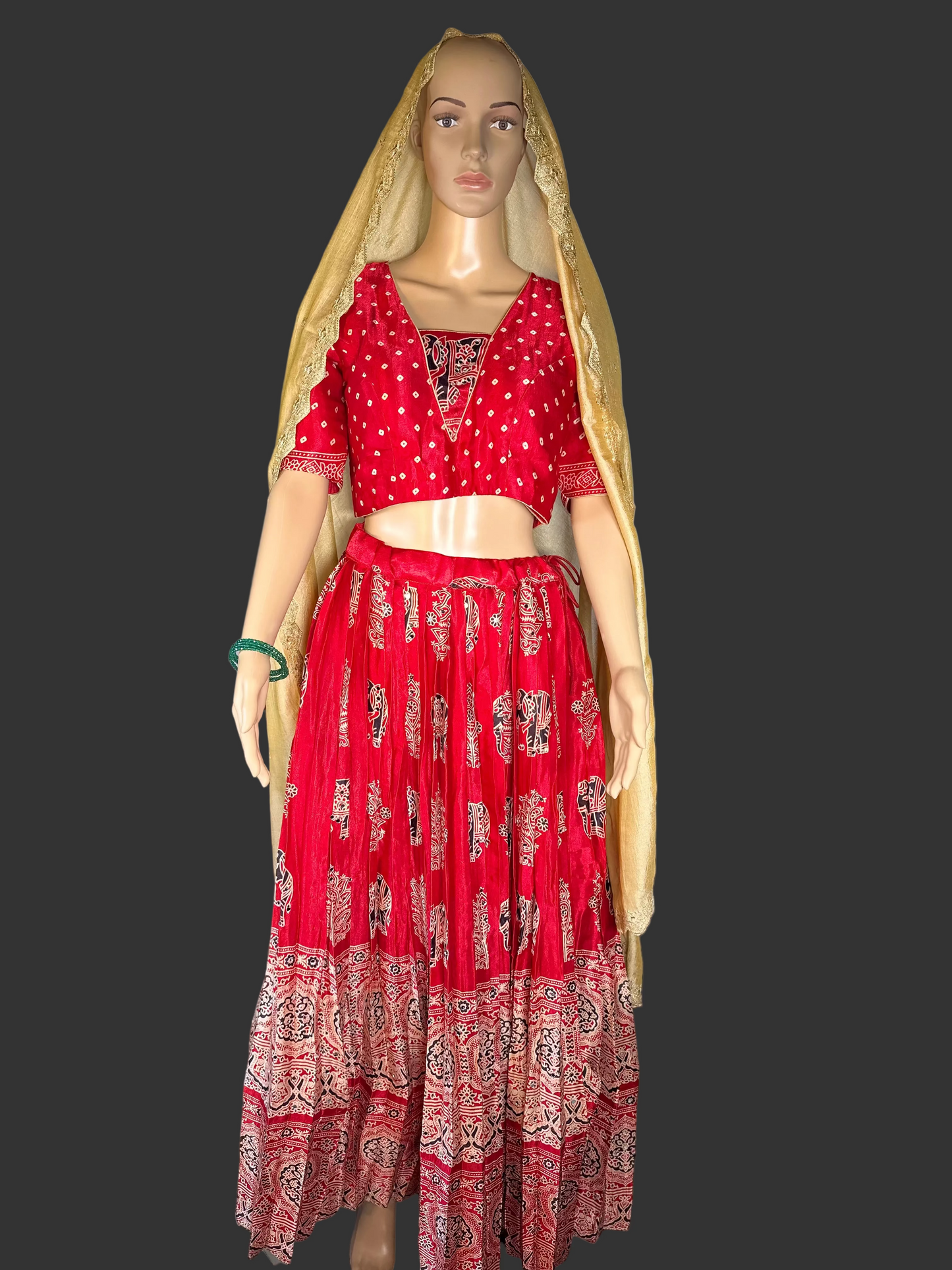 Ajrakh Print Silk Lehenga Set | Hand Block Print Mirror Work Lehenga Choli | Traditional Indian Wedding & Festive Wear | Ships from USA