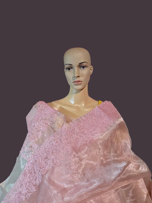 Exclusive Embroidered Pure Organza Saree buy from USA with Threadwork Border & Matching Blouse – Lightweight & Elegant