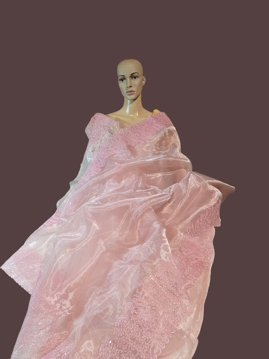Exclusive Embroidered Pure Organza Saree buy from USA with Threadwork Border & Matching Blouse – Lightweight & Elegant