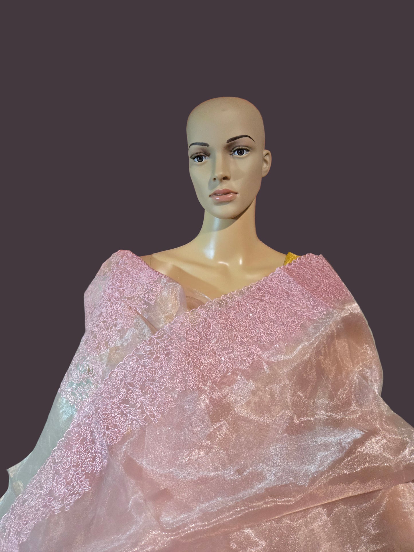 Exclusive Embroidered Pure Organza Saree buy from USA with Threadwork Border & Matching Blouse – Lightweight & Elegant