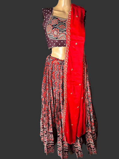 Patola Print Ajrakh Modal Silk Mirror Work Lehenga with Stitched Blouse | Designer Mirror Work Lehenga Choli | Ethnic Wedding, Festive & Party Wear | Ships from USA