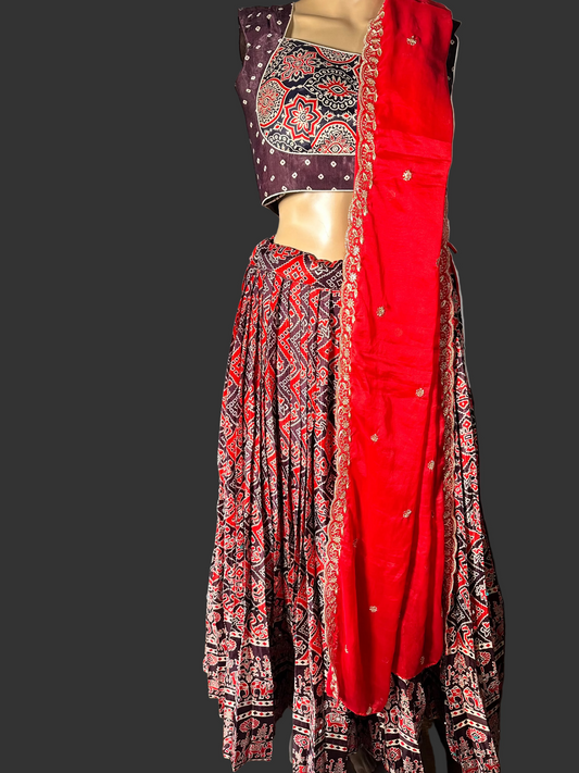 Patola Print Ajrakh Modal Silk Mirror Work Lehenga with Stitched Blouse | Designer Mirror Work Lehenga Choli | Ethnic Wedding, Festive & Party Wear | Ships from USA