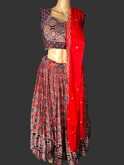 Patola Print Ajrakh Modal Silk Mirror Work Lehenga with Stitched Blouse | Designer Mirror Work Lehenga Choli | Ethnic Wedding, Festive & Party Wear | Ships from USA