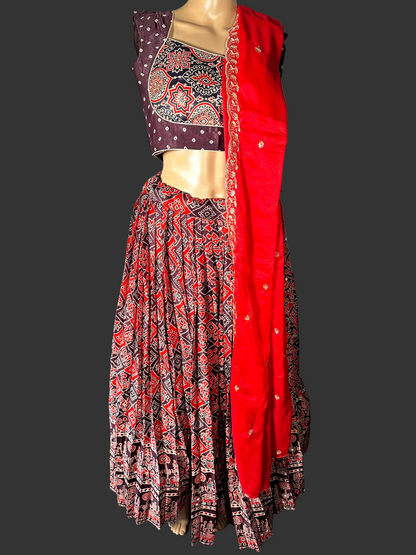 Patola Print Ajrakh Modal Silk Mirror Work Lehenga with Stitched Blouse | Designer Mirror Work Lehenga Choli | Ethnic Wedding, Festive & Party Wear | Ships from USA