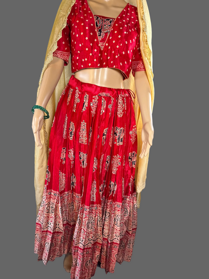 Ajrakh Print Silk Lehenga Set | Hand Block Print Mirror Work Lehenga Choli | Traditional Indian Wedding & Festive Wear | Ships from USA