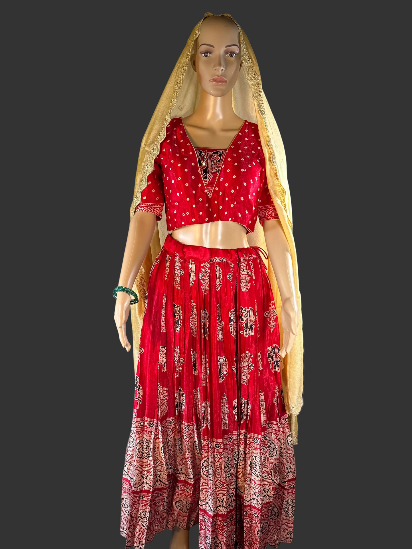 Ajrakh Print Silk Lehenga Set | Hand Block Print Mirror Work Lehenga Choli | Traditional Indian Wedding & Festive Wear | Ships from USA