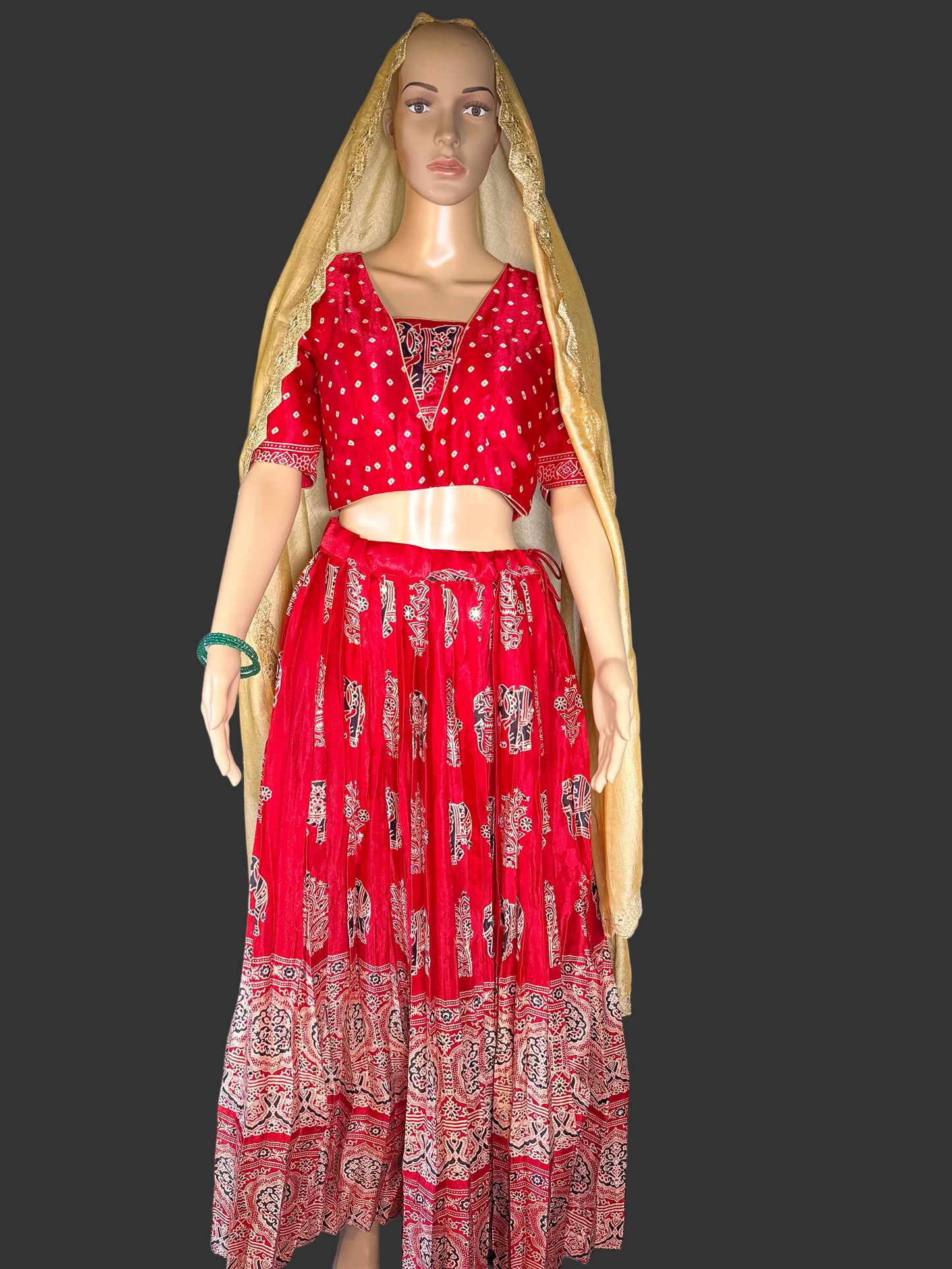 Ajrakh Print Silk Lehenga Set | Hand Block Print Mirror Work Lehenga Choli | Traditional Indian Wedding & Festive Wear | Ships from USA